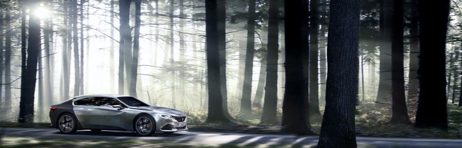  Peugeot Exalt Paris Concept 2014 года  (фото 4 из 13)